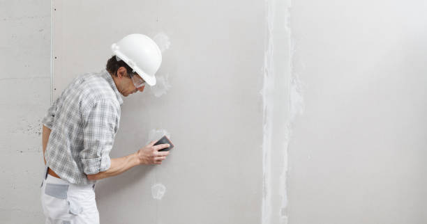 Best Real Estate Mold Inspection  in Brooklyn, IA