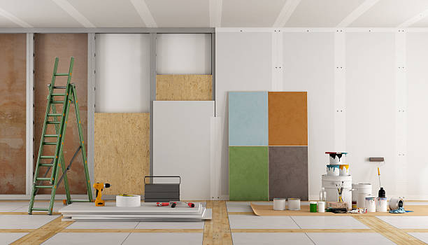 Best Attic Mold Removal  in Brooklyn, IA